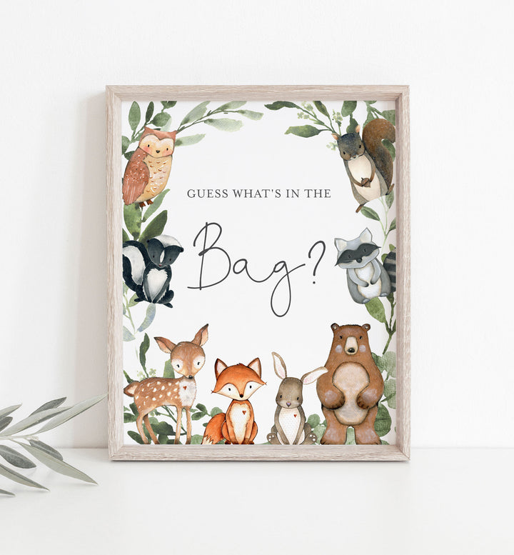 Woodland Animals Baby Shower Guess What's In The Bag Game