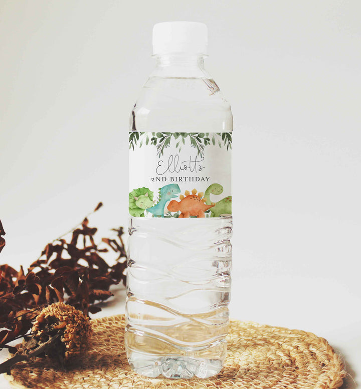 Dinosaurs Kids Birthday Water Bottle Label Printable