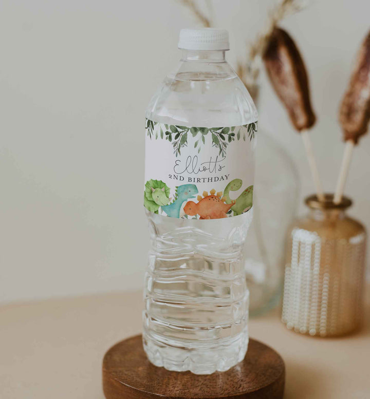 Dinosaurs Kids Birthday Water Bottle Label Printable